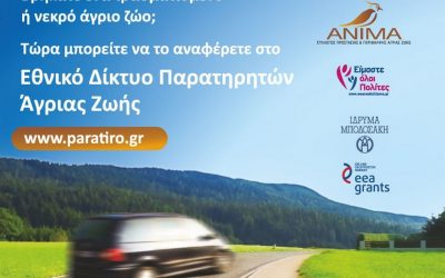 “Citizen science” in practice