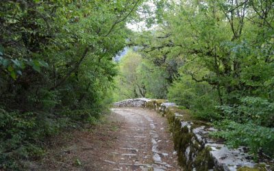 Communication material for Callisto