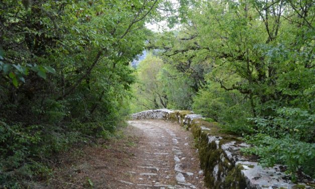 Communication material for Callisto