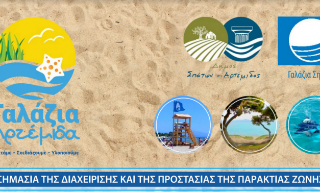 Contributing in tackling the pollution of Eastern Attica coasts