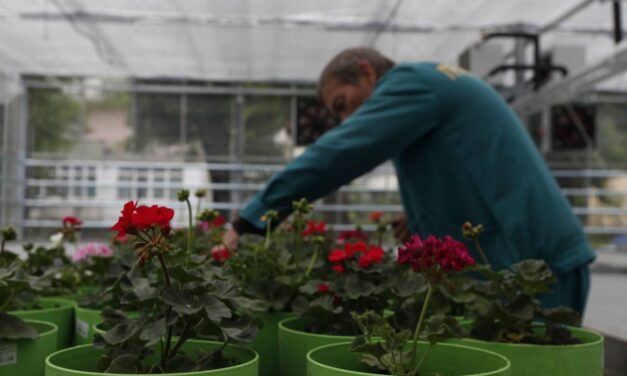 TWO NEW SUSTAINABLE SOCIAL ENTERPRISES IN THE FRAMEWORK OF THE SoSEDEE PROJECT