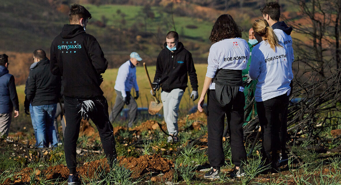 VOLUNTARY CONTRIBUTION ACTIONS FOR PAPASTRATOS COMPANY