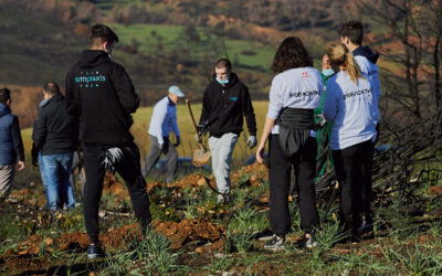 VOLUNTARY CONTRIBUTION ACTIONS FOR PAPASTRATOS COMPANY