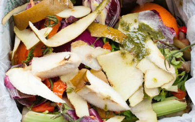 France Implements Mandatory Organic Waste Recycling