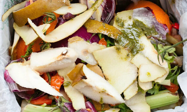 France Implements Mandatory Organic Waste Recycling