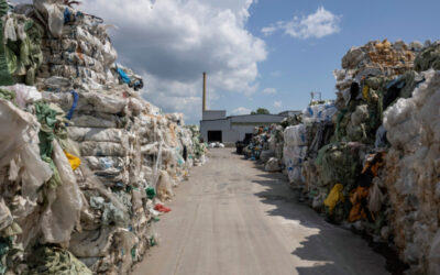 Μύθοι και πραγματικότητα για το περιεχόμενο στους μπλε κάδους ανακύκλωσης