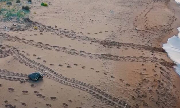 RETHYMNO Home to the Loggerhead Sea Turtles