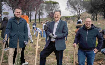 THE NEW, LARGE-SCALE REFORESTATION BY PAPASTRATOS, BREATHES LIFE INTO THE SORELY TRIED MOUNT PENTELI