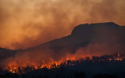 Ανησυχία για τις πρόωρες δασικές πυρκαγίες
