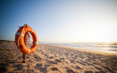 A powerful example of how small changes can lead to big environmental benefits