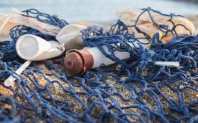 Επιτυχής διαχείριση των θαλάσσιων απορριμμάτων από την πρωτοβουλία “Εναλεία”