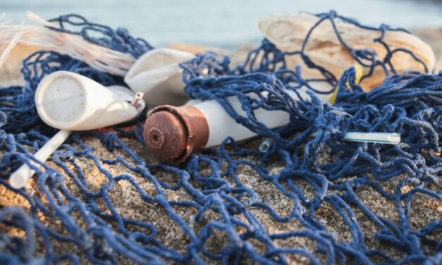 Επιτυχής διαχείριση των θαλάσσιων απορριμμάτων από την πρωτοβουλία “Εναλεία”