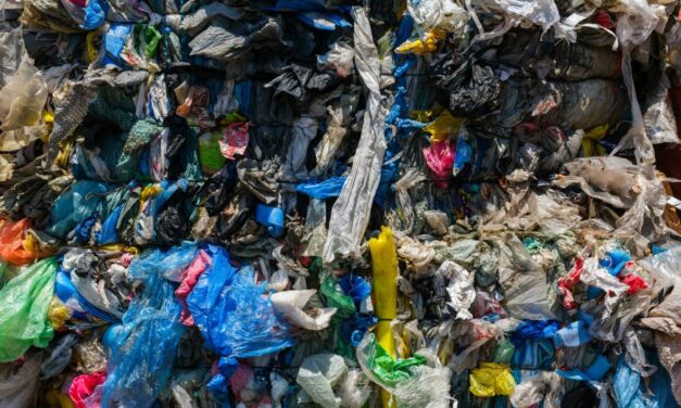 Global reforms to secure a justice and sustainable future