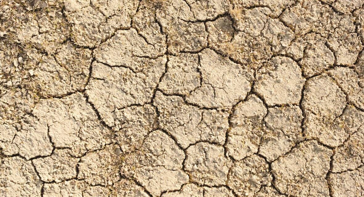 Το δάσος του Αμαζονίου σε κρίση