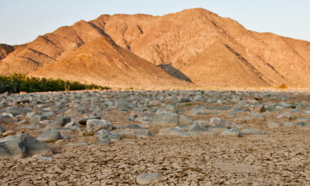 Tackling the Climate Crisis Is a Growth Strategy, Say OECD and UNDP
