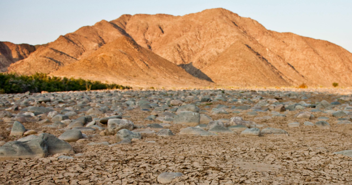 Tackling the Climate Crisis Is a Growth Strategy, Say OECD and UNDP