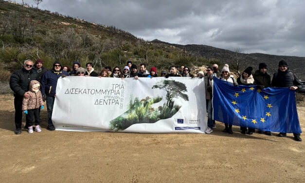 VOLUNTARY REFORESTATION ACTION IN PENTELI FOR THE REPRESENTATION OF THE EUROPEAN COMMISSION IN GREECE