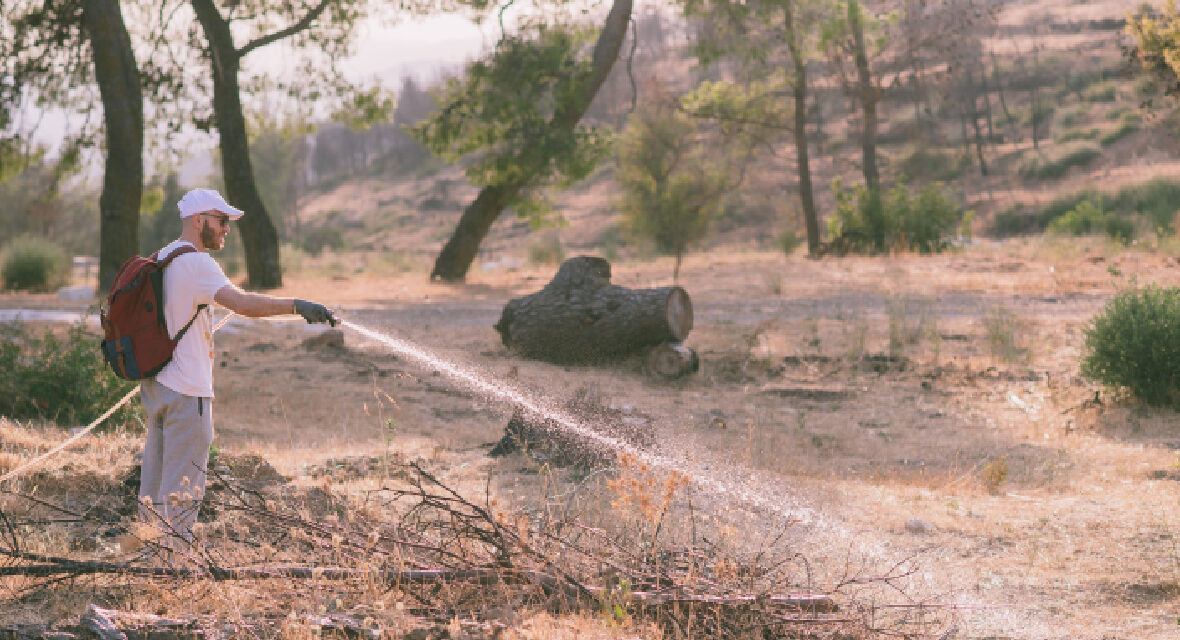 Η NOVA ΣΤΗΡΙΖΕΙ ΕΜΠΡΑΚΤΑ ΤΟ ΠΕΡΙΒΑΛΛΟΝ ΜΕ ΔΡΑΣΕΙΣ ΕΘΕΛΟΝΤΙΣΜΟΥ ΣΤΗΝ ΙΕΡΑ ΜΟΝΗ ΠΕΝΤΕΛΗΣ