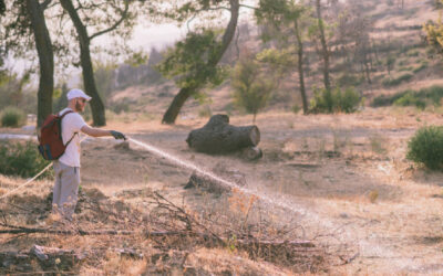 Η NOVA ΣΤΗΡΙΖΕΙ ΕΜΠΡΑΚΤΑ ΤΟ ΠΕΡΙΒΑΛΛΟΝ ΜΕ ΔΡΑΣΕΙΣ ΕΘΕΛΟΝΤΙΣΜΟΥ ΣΤΗΝ ΙΕΡΑ ΜΟΝΗ ΠΕΝΤΕΛΗΣ