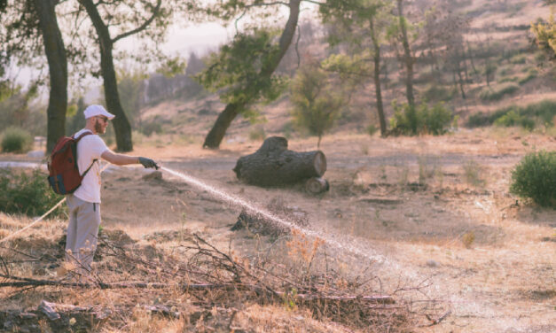 NOVA ACTIVELY SUPPORTS THE ENVIRONMENT WITH VOLUNTEERING ACTIVITIES AT THE HOLY MONASTERY OF PENTELI