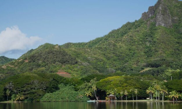 Early climate models: accurate predictions that stand the test of time