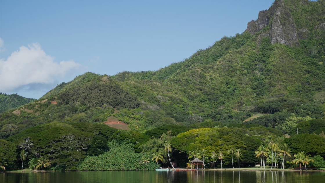 Early climate models: accurate predictions that stand the test of time