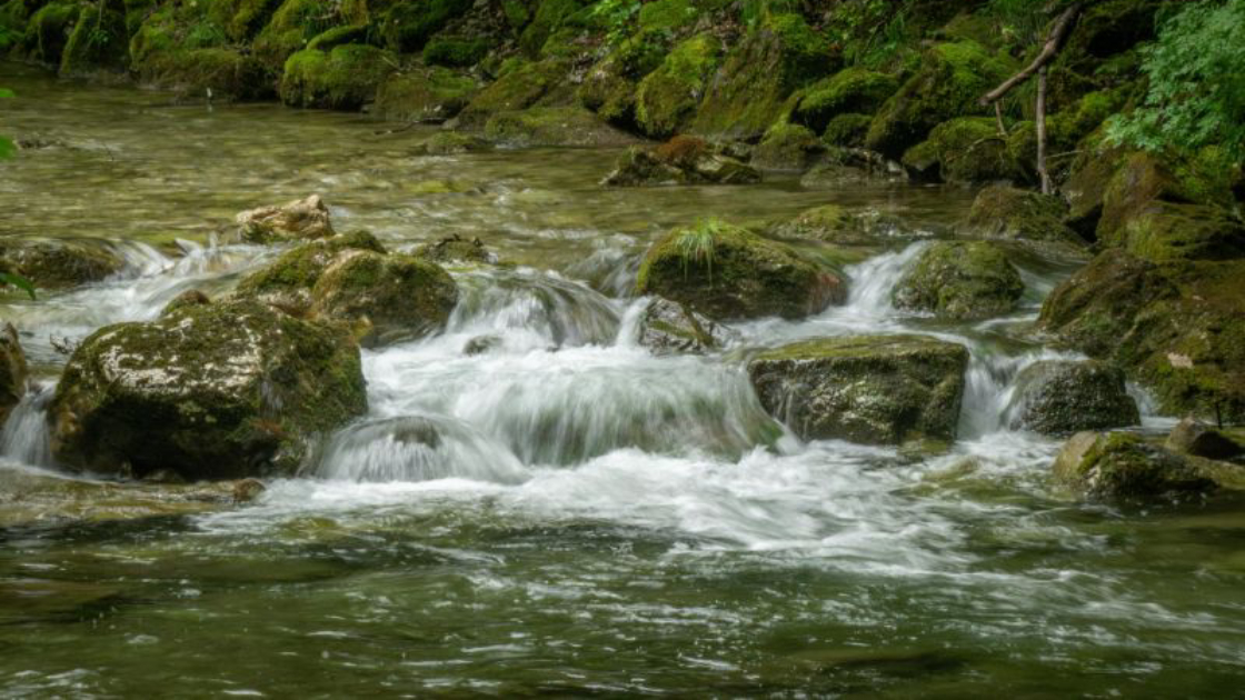 Panama’s Darién Gap sees forest loss drop 90% through smart conservation