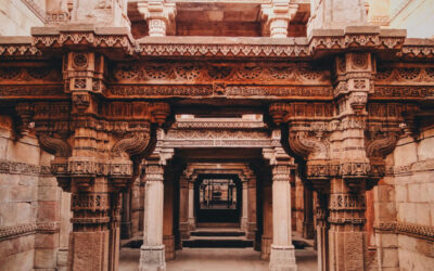 Indian environmentalist restores water bodies and ancient stepwells to safeguard heritage and future water supply