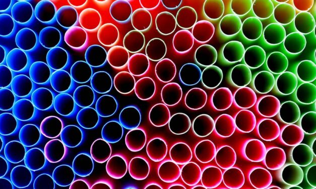 The Green Illusion: how adding “eco-friendly” choices can backfire