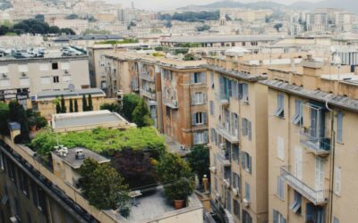 Η μάχη της Αθήνας με τη θερμική νησίδα: πράσινες λύσεις και αλλαγή νοοτροπίας