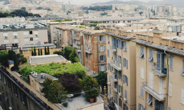 Η μάχη της Αθήνας με τη θερμική νησίδα: πράσινες λύσεις και αλλαγή νοοτροπίας