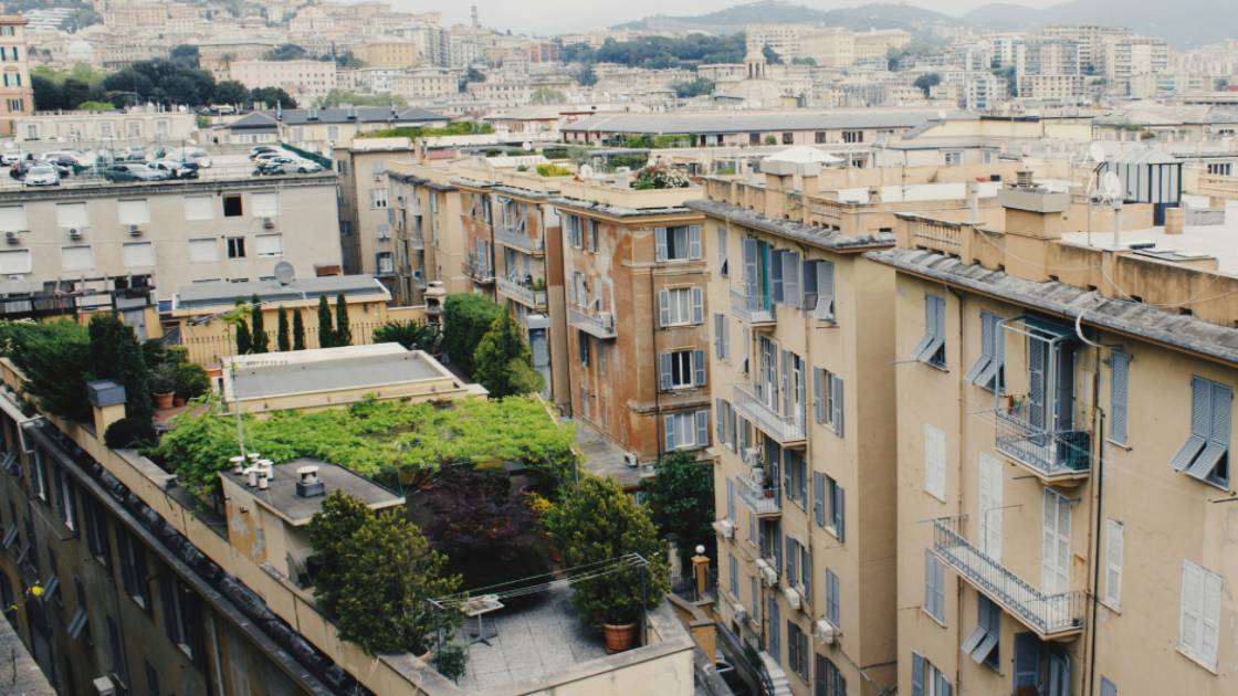 Η μάχη της Αθήνας με τη θερμική νησίδα: πράσινες λύσεις και αλλαγή νοοτροπίας