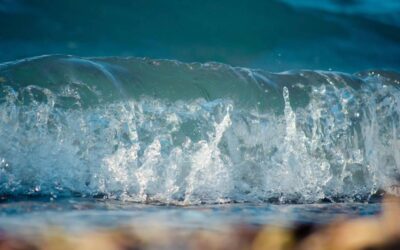 Νέα θαλάσσια πάρκα σε Ιόνιο και Αιγαίο για την προστασία της βιοποικιλότητας