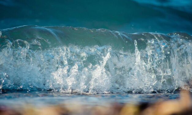 Νέα θαλάσσια πάρκα σε Ιόνιο και Αιγαίο για την προστασία της βιοποικιλότητας
