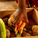 Climate chaos threatens global food security as extreme weather disrupts harvests and raises hunger risks
