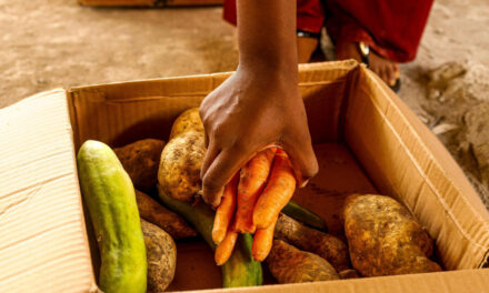Climate chaos threatens global food security as extreme weather disrupts harvests and raises hunger risks
