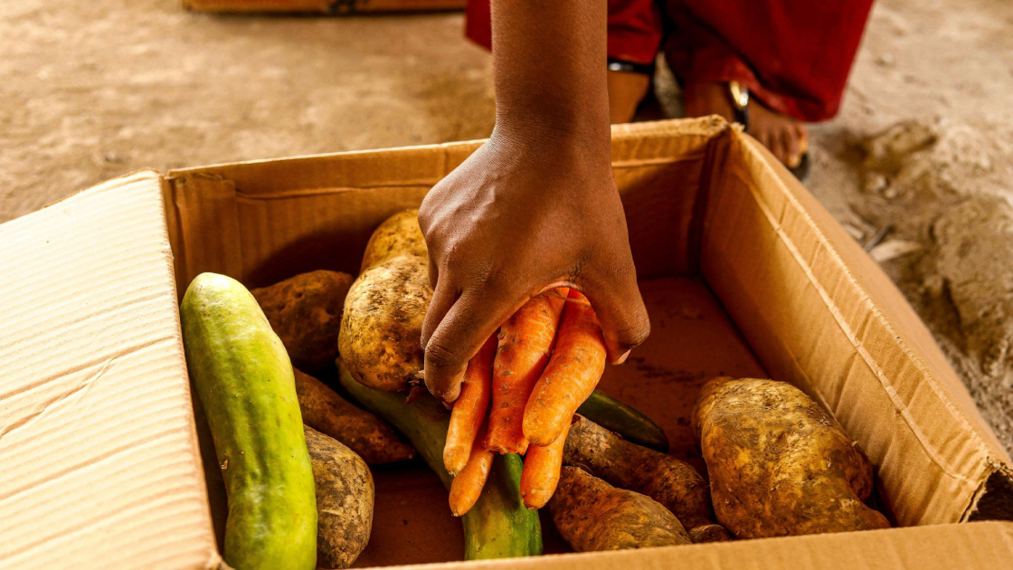 Climate chaos threatens global food security as extreme weather disrupts harvests and raises hunger risks