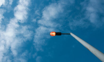 Red streetlights help protect bats while keeping cities safe and sustainable